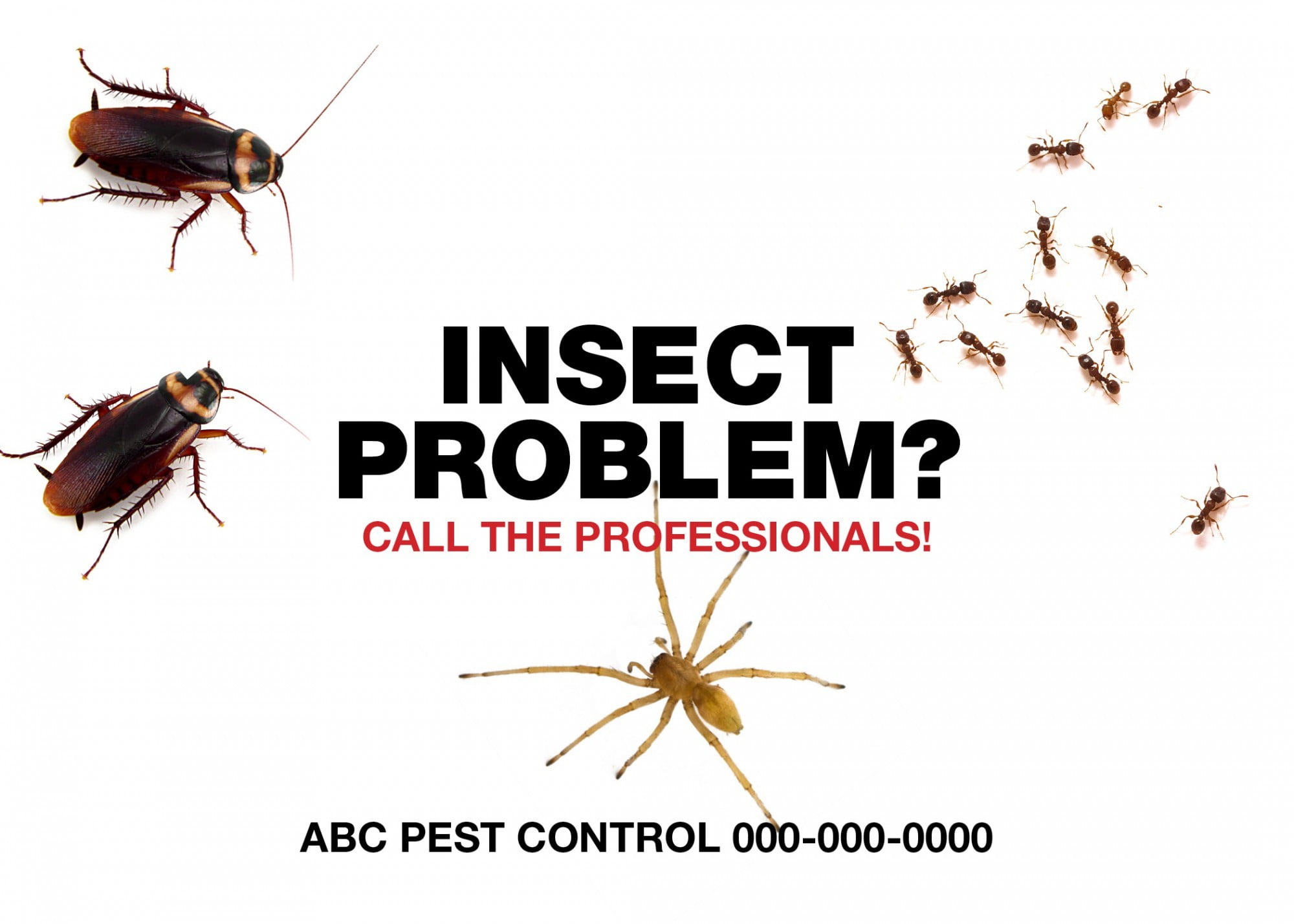 Pest-Control-Postcard-Sample-6-e1431471732723.jpg