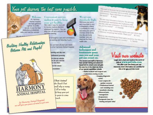 Vet Brochure Sample 2 - Wilson Printing USA