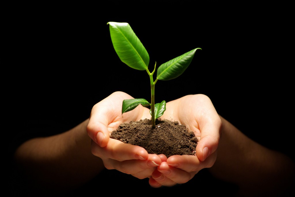 bigstock-Hands-holding-plant-in-soil-on-28160849