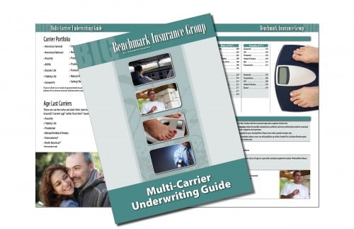 Insurance Recruiting Booklet Brochure Sample