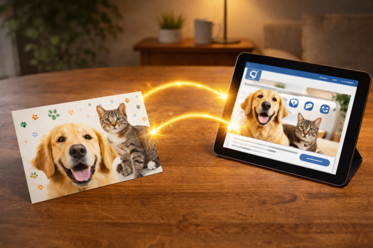 Veterinary direct mail postcard synced with digital ads to reinforce pet owner engagement